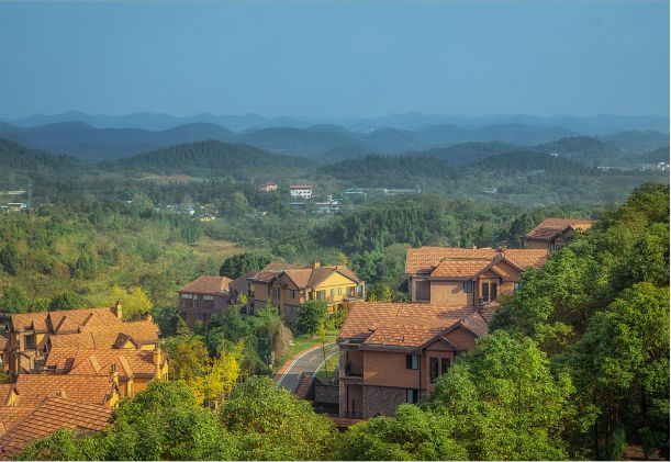 20171215網站圖2.jpg 20171215網站圖2.jpg